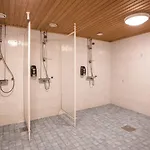 Karhu Sodankylä